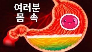 몸속 여행