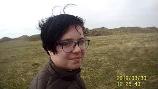 Todays Dog Walk
