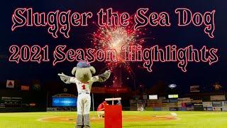 Slugger the Sea Dog - 2021 Highlights