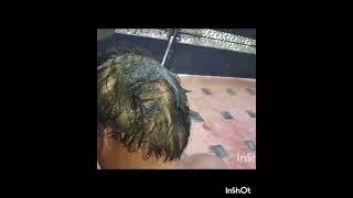 1 இரவில் நரைமுடிக்கு good bye சொல்லுங்க.#shorts#shortsfeed#trending#hairdye#naturaldye#dye#homemade