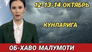 12-13-14 ОКТЯБРЬ  КУНЛАРИ УЧУН ОБ ХАВО МАЛУМОТИ, ob havo