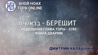 Недельная глава Торы - Парашат а-шавуа - "БЕРЕШИТ" 5785/2024. Дмитрий Калашник