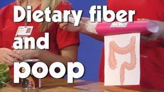 Dietary Fiber and Poop | Kids Health | The Friday Zone | WTIU | PBS