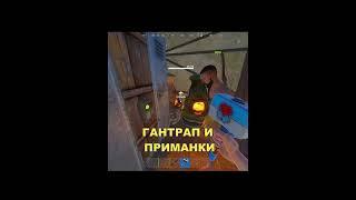 Ловушка в раст\rust #Shorts