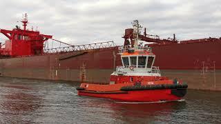 YEOMAN BRIDGE - RED GIANT bulk carrier, 250m vessel enters the port of Gdansk, Poland April 2021