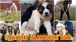 Online Itlar bozori 2022‍