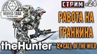 theHunter Call of the Wild #24 СТРИМ  - Работа на Гранкина - Ружье