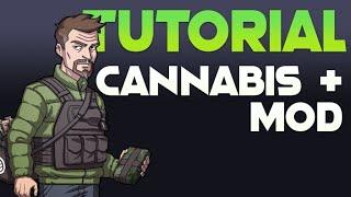 Гайд, что делать с каннабисом в Dayz (CannabisPlus)