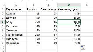 MS Excel Есептеулер жүргізу