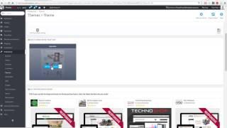 YourStore Prestashop Theme - installation video manual