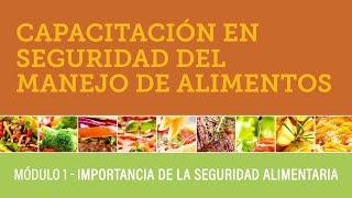 Módulo 1 — Importancia de la Seguridad Alimentaria