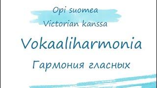 Гармония гласных в финском языке. Финский язык для начинающих. Vokaaliharmonia.