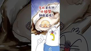 【小魔】你有没有吃过这种“蚝里蟹”？#shorts #美食科普 #轻漫计划