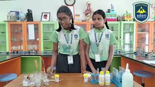 Simple Acids and Bases Experiment | Celebrating National Science Day with Natural Indicators