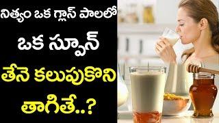 AMAZING Benefits of Having Honey With Milk | Health Benefits of Milk and Honey | VTube Telugu