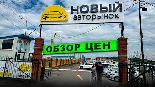 Новый Авторынок Зеленый Угол 2024 Смотрим Рынок и Цены на Авто