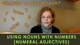 NUMERAL ADJECTIVES / FOUNDATIONS OF TURKISH #9