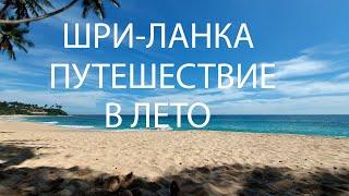 ШРИ-ЛАНКА путешествие в лето. Жаркие пляжи острова , какие здесь плавают черепашки?