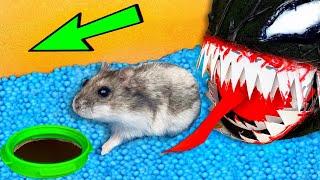  VENOM Hamster Maze with Traps [OBSTACLE COURSE]