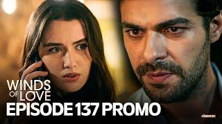 Winds of Love Episode 137 Promo | Rüzgarlı Tepe 137. Bölüm Fragmanı