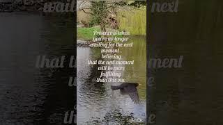 Elkhart Tolle Quote #livingwithharmony #meditation