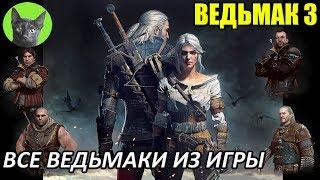 Ведьмак 3 - Обзор - Все ведьмаки из игры