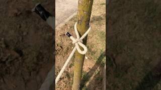 World Easiest Knot You Need To 