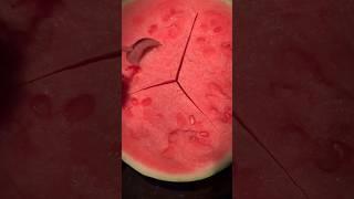 Amazing | Mr. Melon #melon #melonmusic #melonplaygroud #mrmelon #freshfruit