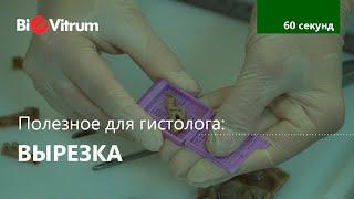 Вырезка: основные правила