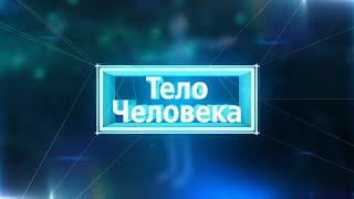 Тело человека 25.02.2020 Онкология