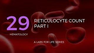 Reticulocyte Count Part I