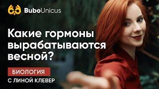 Какие гормоны вырабатываются весной? | Биология ЕГЭ | Лина Клевер