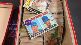 BOUGHT A SHOEBOX FULL OF VINTAGE SPORTS CARDS!