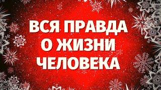 ВСЯ ПРАВДА О ТОМ, ЧТО СЕЙЧАС ПРОИСХОДИТ С ЧЕЛОВЕКОМ! Онлайн гадание на Таро