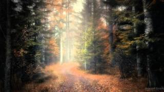 Sunlounger - Coconuts & Pineapples (Chillout Mix)