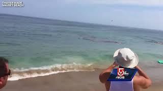 Video shows shark attack feet away from Cape Cod surfers