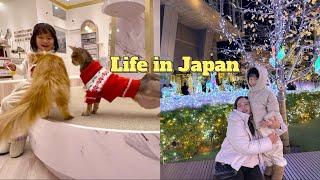 Daily Life Living in Japan | Visiting a cat cafe & spending the Holiday in Nagoya | Cat Cafe Mocha 