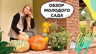 Обзор молодого сада | Ландшафтный дизайн 20 соток | Плодовый сад | Цветники непрерывного цветения