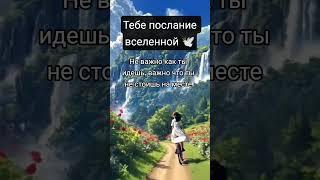 Принимай в комментариях с щедростью, БЛАГО ДАРЯ из любви к СЕБЕ  #любовь #счастье