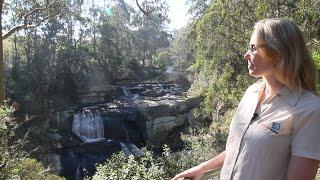 Toora to Tarra Bulga Travel Video