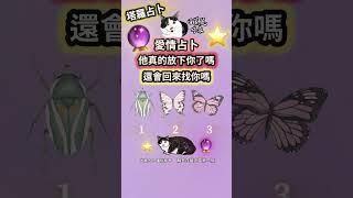 他放下你了嗎？他還會回來找你嗎？失聯的他怎麼想？塔羅占卜解讀