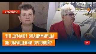 Что думают владимирцы об обращении Орловой?