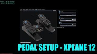 136 - Velocity 1 Pedal Setup X-Plane 12