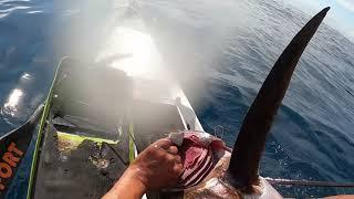 CATCHING SAILFISH DURBAN UMHLANGA