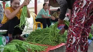 Harvesting long beans to sell at traditional markets