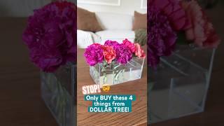 🫢4 PRODUCTS to only BUY from Dollar Tree! #organization #home #dollartree