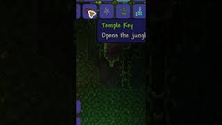 When you finally unlock the Jungle Temple in Terraria...