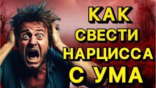 КАК СВЕСТИ НАРЦИССА С УМА #психология #отношения #нарцисс