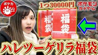 【ポケカ】晴れる屋２で”１つ３万円”もする福袋がゲリラ販売されていたので購入してみたら？？？【開封動画】