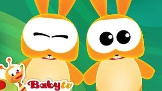 Animal Songs    | Nursery Rhymes and Songs for kids | @BabyTV